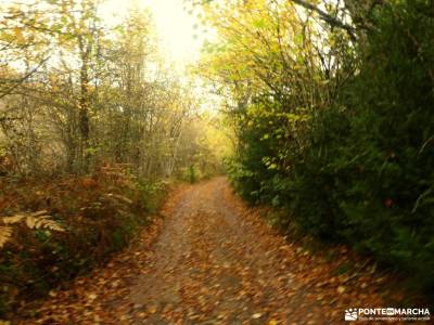 Hayedos Rioja Alavesa-Sierra de Toloño;rutas senderismo girona gr 92 costa brava pueblos cerca madri